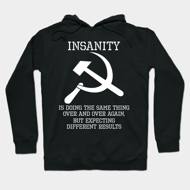 Insanity is doing the same thing over and over again, but expecting different results Hoodie by Styr Designs